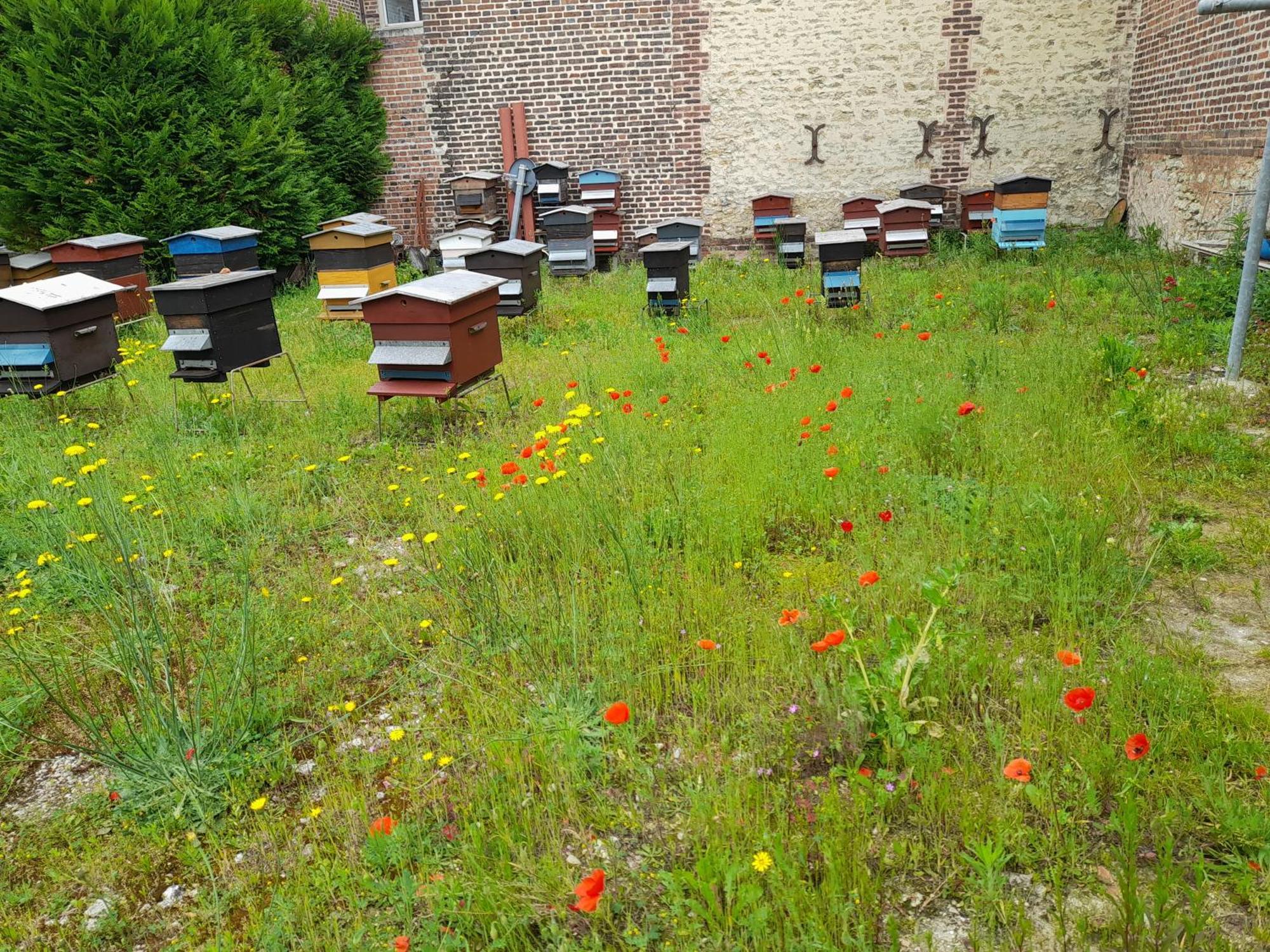 Studio Danton Troyes Exterior foto
